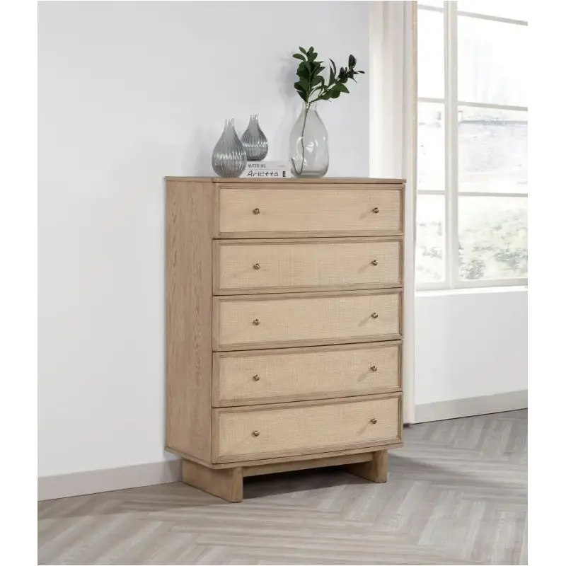 225045 Coaster Furniture Kailani Bedroom Furniture Chest